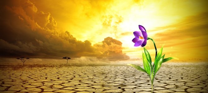 Deus age na minha lacuna Deus age na minha lacuna