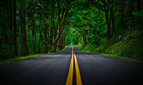CAMINHO, VERDADE e VIDA CAMINHO, VERDADE e VIDA